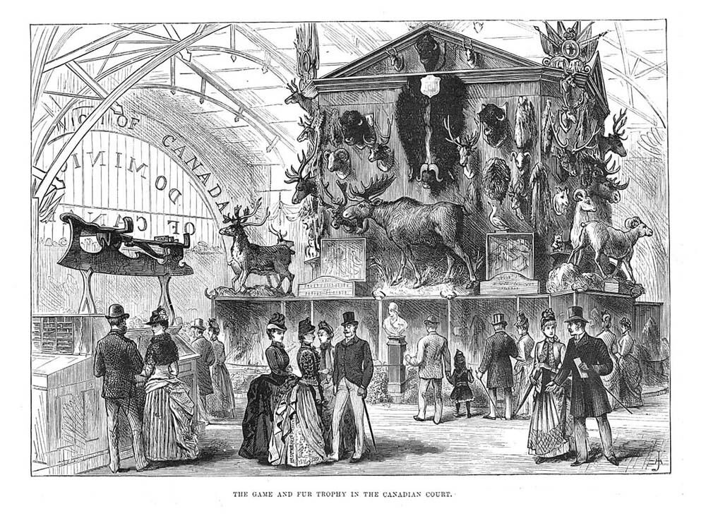 La Game and Fur Trophy dans la section canadienne de la Colonial and Indian Exhibition à Londres. 1886.